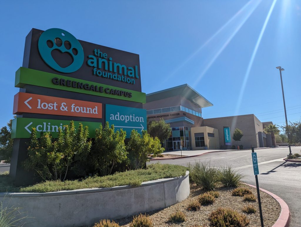 The Animal Foundation Shelter