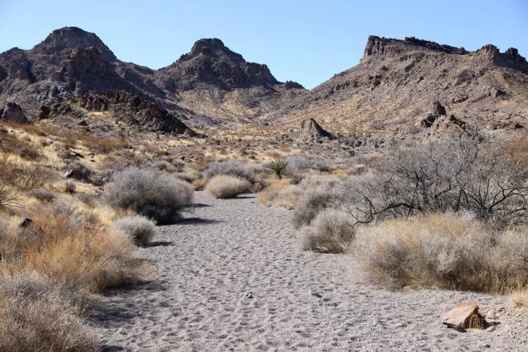 Image of Sloan Canyon National Conservation Area