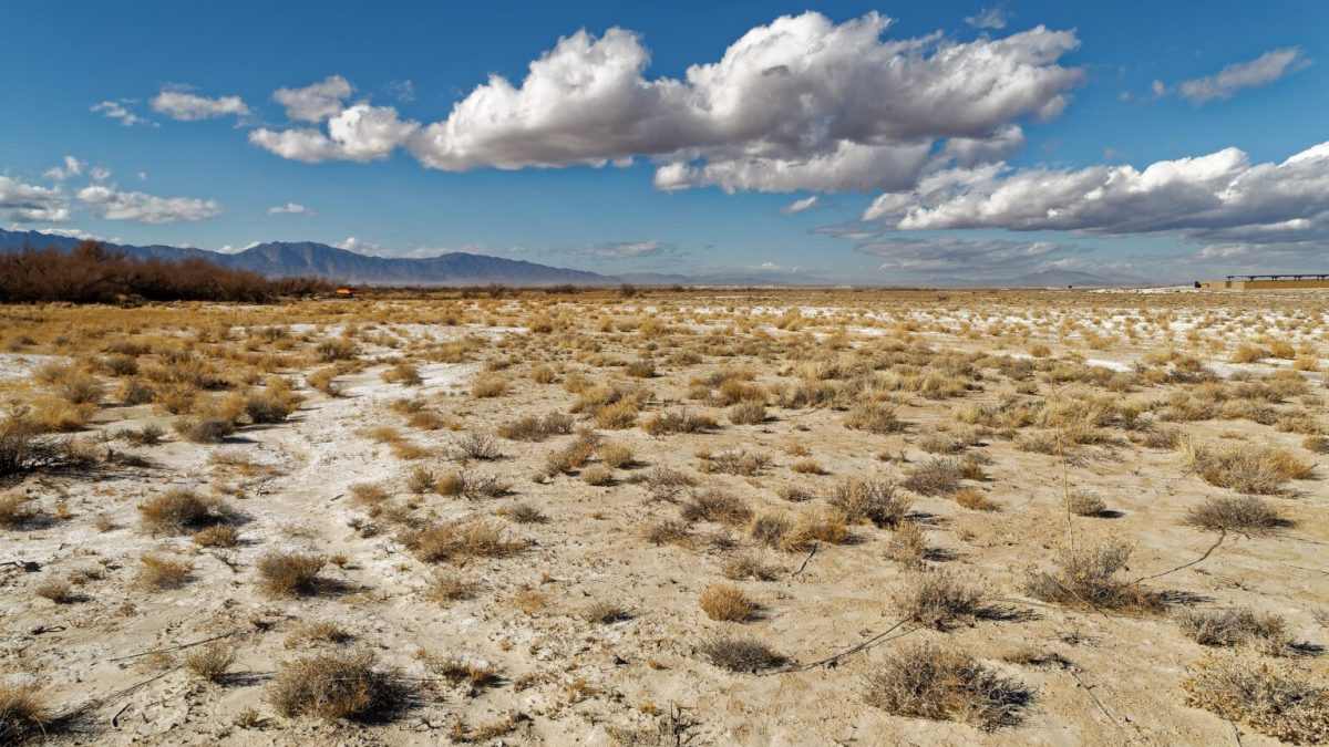 Credit: Nevada Current