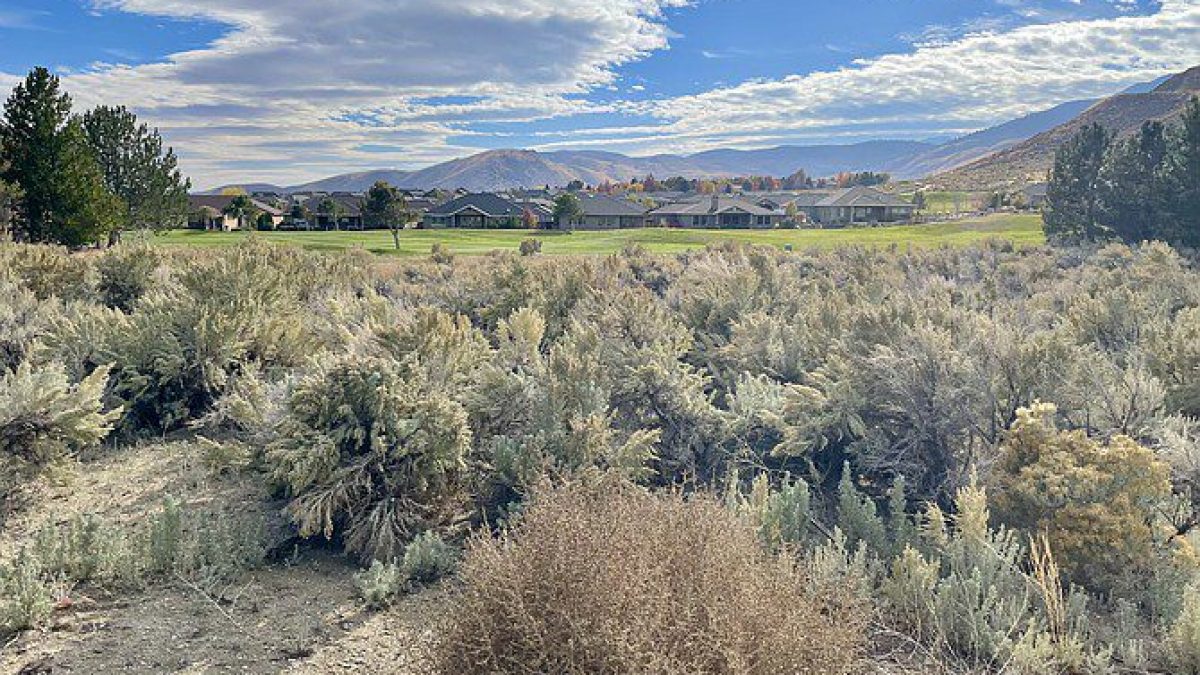 Vacant site of the incoming substance abuse center. Credit: Scott Neuffer/Nevada Appeal